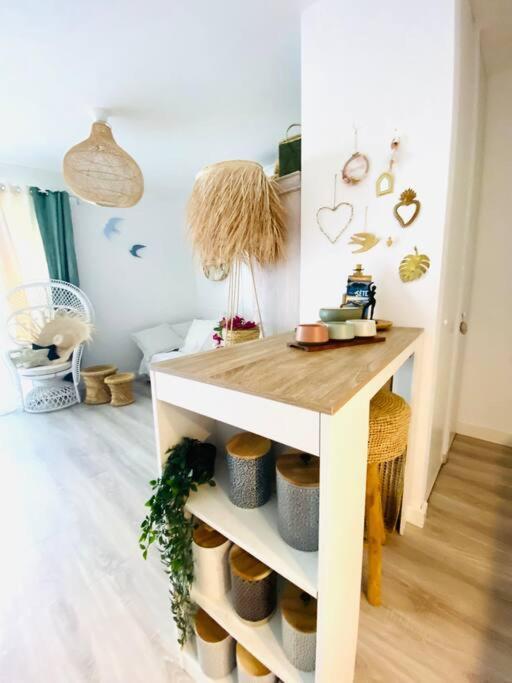 Havre De Paix Avec Jardin Et Clim En Centre De Appartement