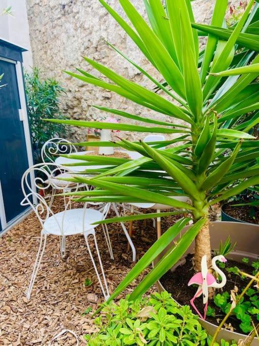 Appartement Havre De Paix Avec Jardin Et Clim En Centre De